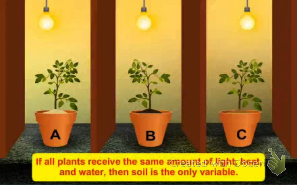 fair test