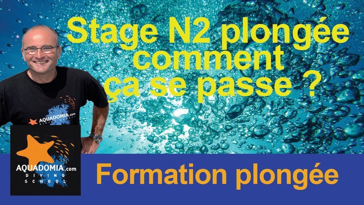 Stage plongée niveau 2 pour passer son N2 plongée... Comment ça se passe ?