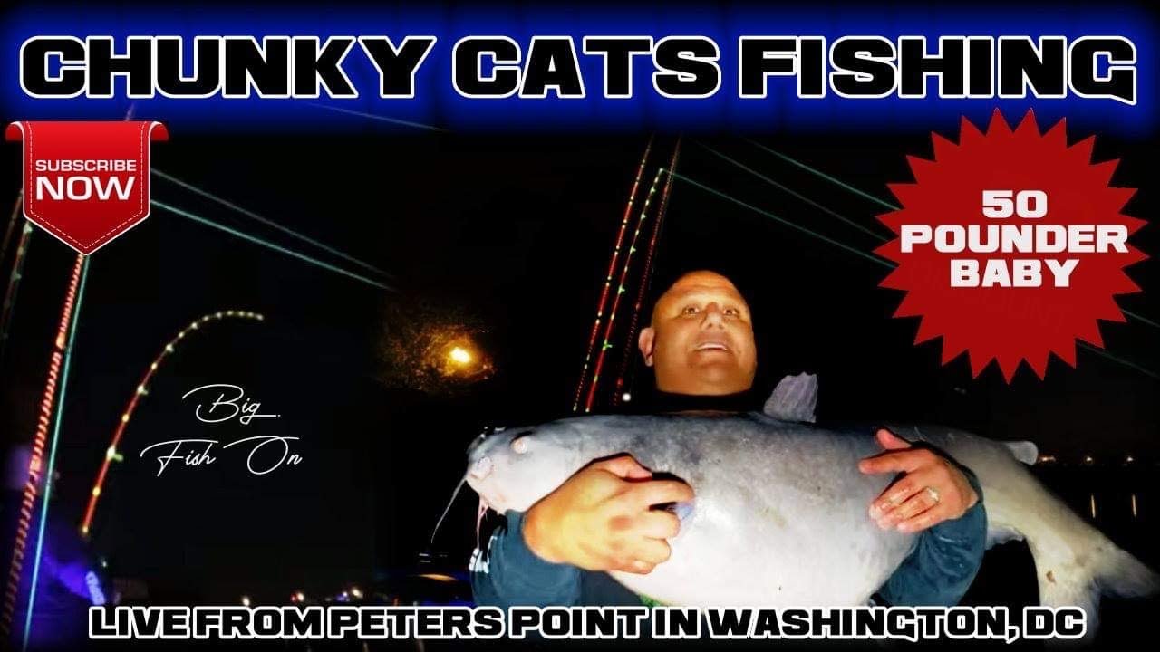Chunky Cats Fishing 50Lbs Blue Catfish Eel Dominates And Wins@ 1:52:30