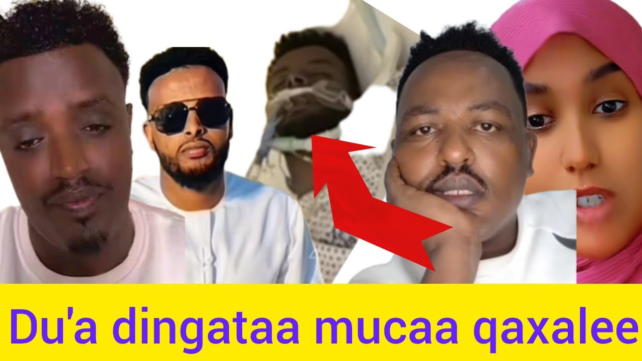 Obboleeysi duubaayitti osoo karaa deemuu tasa duuti  itti dhufte akkamitti due