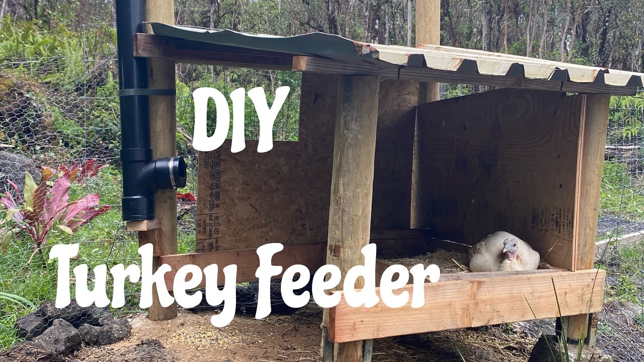 DIY Turkey Feeder Project