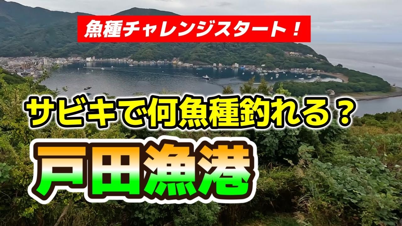 #004 戸田漁港でサビキ釣り 【静岡県】