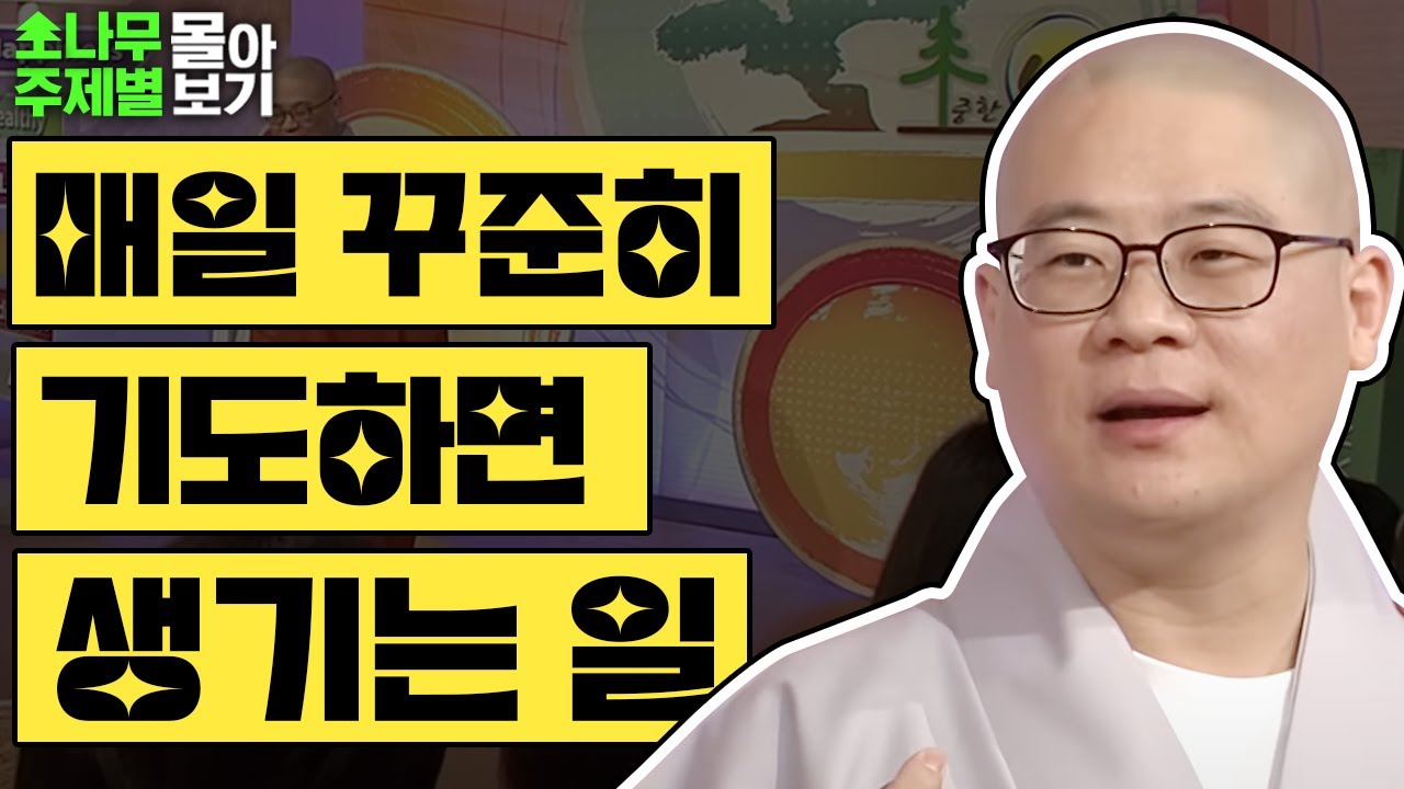 매일 꾸준하게 기도하면 일어나는 일?  [광우스님 소나무 주제별 몰아보기]