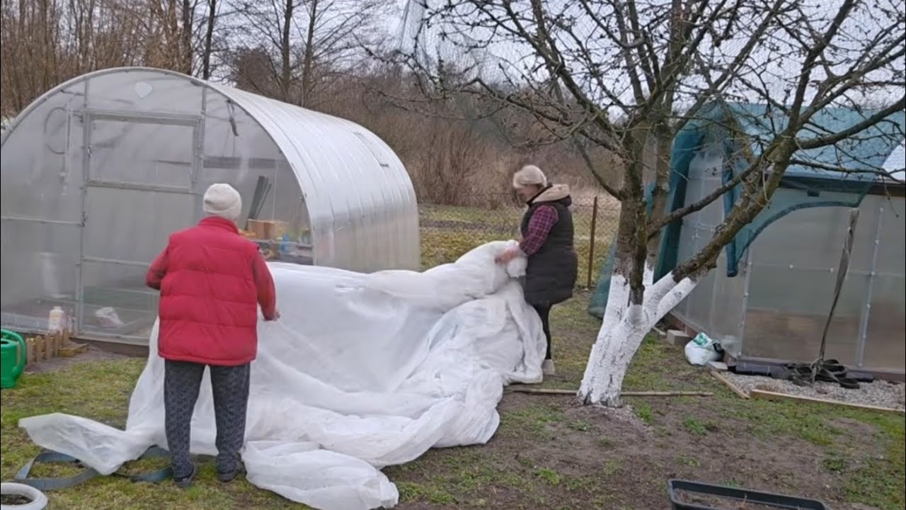 Padające sadzonki ,dokarmianie - serce i ziemia 