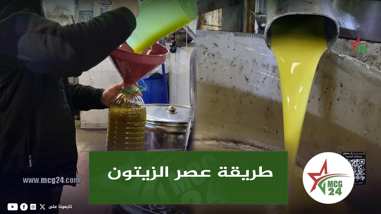 صفرو: الزيتون موجود وطريقة العصر من البداية الى خروجه زيت صافية