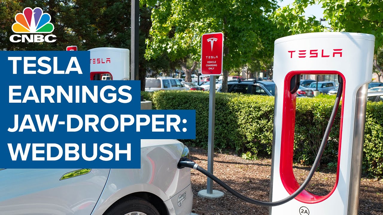 Tesla's earnings are a 'jaw-dropper':Wedbush's Dan Ives