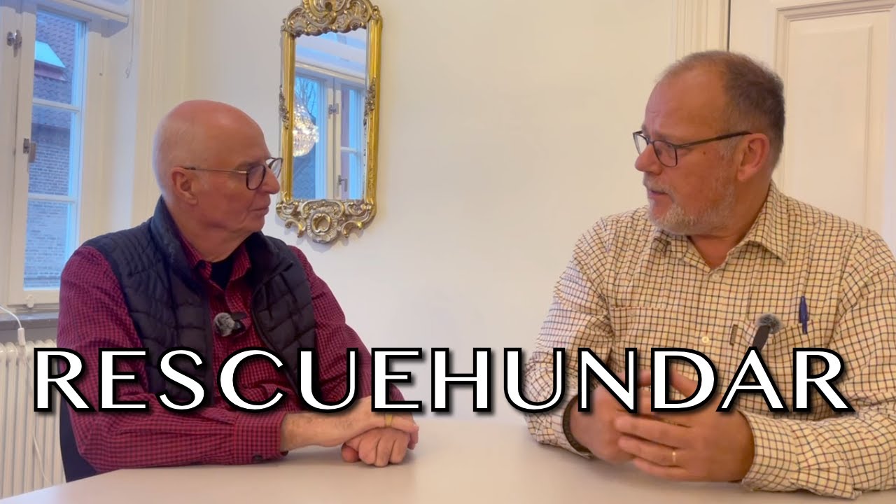 Rescuehundar? Välgärning eller onödig stor utmaning