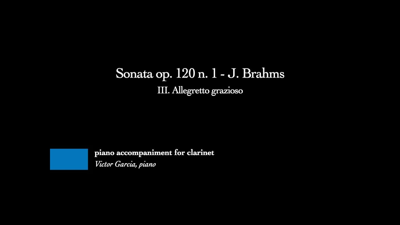 Sonata op. 120 n. 1 - III. Allegretto grazioso - J.Brahms [PIANO ACCOMPANIMENT FOR CLARINET/VIOLA]
