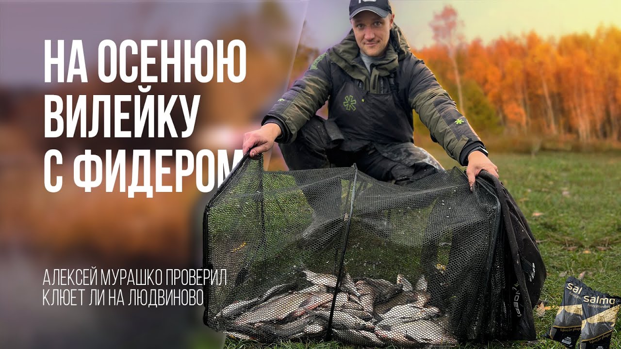 С фидером на Вилейское водохранилище. Проверяем осеннее Людвиново