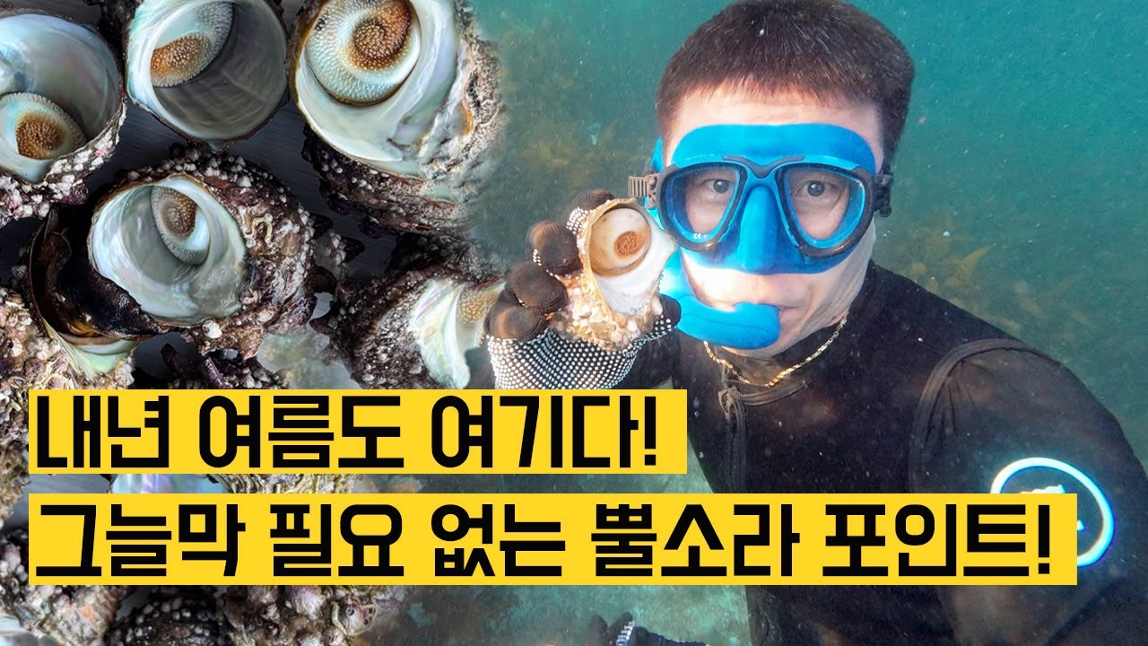 더 유명해지기 전에 가세요! 타프가 필요없는 동해바다 무료 해루질 시크릿 포인트