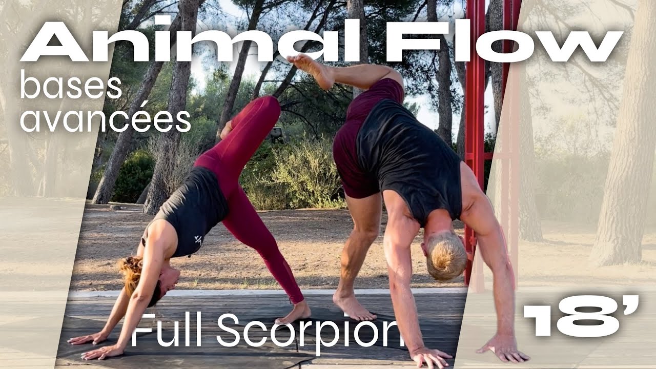 Animal Flow® | Les bases Avancées: Full Scorpion et Side Kick Through | Perdre du poids en s'amusant