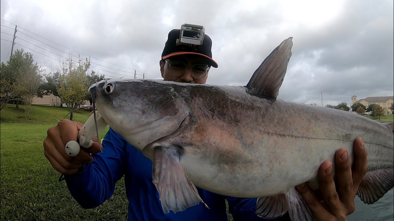 Catfishing Sugarland, Tx