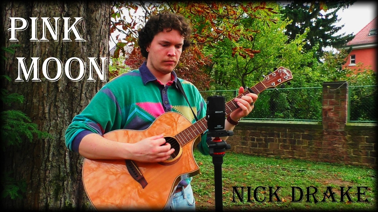 Pink Moon - Nick Drake (Henrik Fabian Cover)
