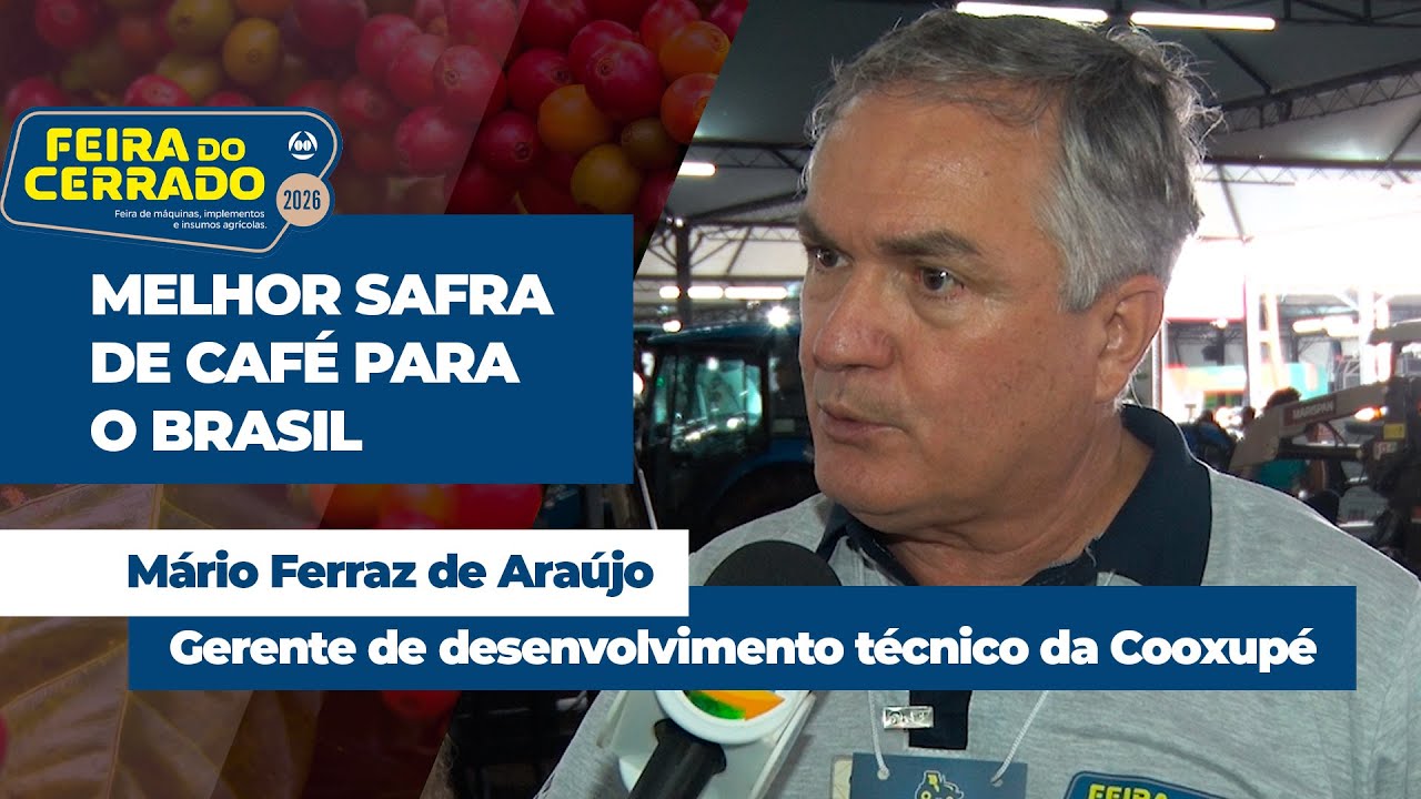 Em 2026, Brasil deve ter a melhor safra de café dos últimos 4 anos