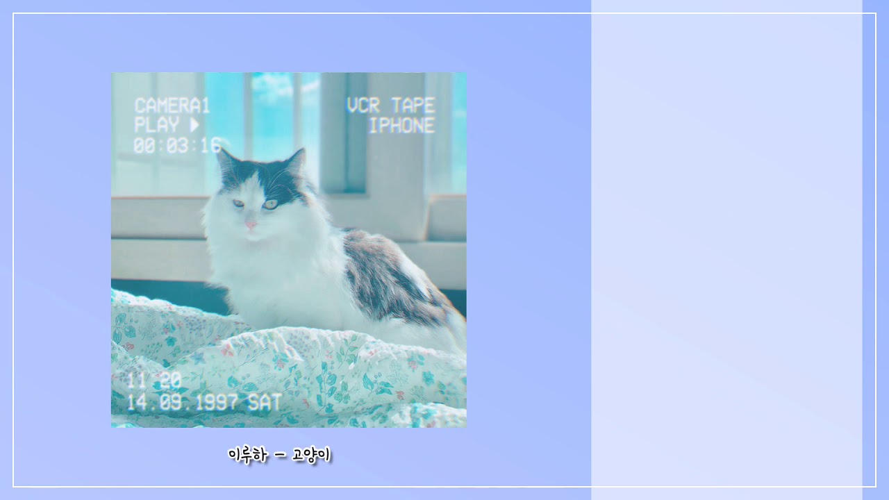 이루하 - 고양이(lyrics)