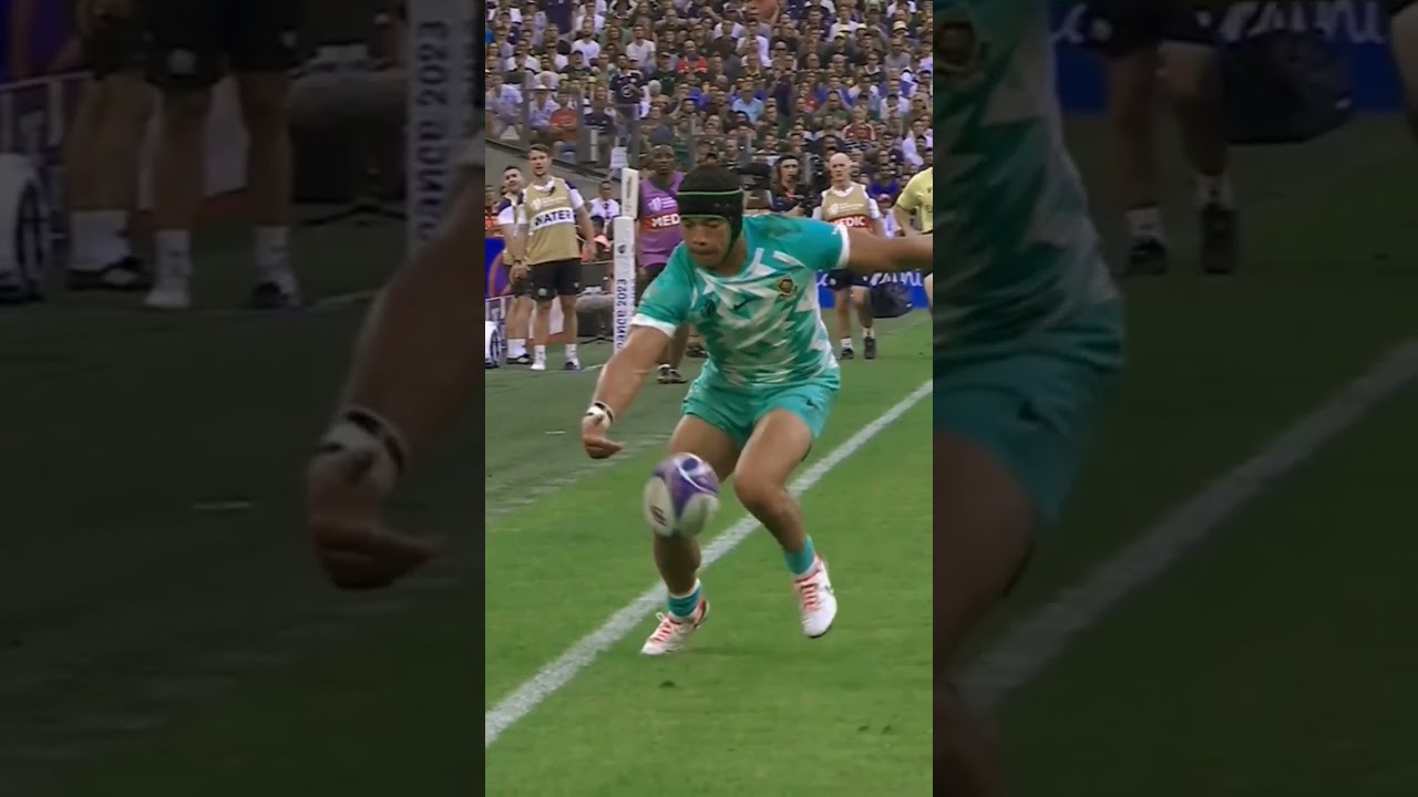 CHESLIN KOLBE Skillset is 🥶🇿🇦 #Cheslinkolbe #springboks #shortsvideo #rugby #shorts