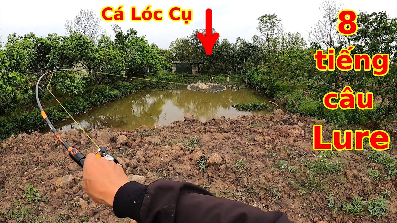 Làm theo Fan yêu cầu, thử thách 8 giờ câu Lure và cái kết