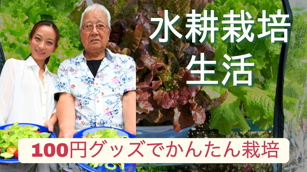 【レタス】【水耕栽培】【100円グッズ】水耕栽培生活 （全編/音声修正バージョン）