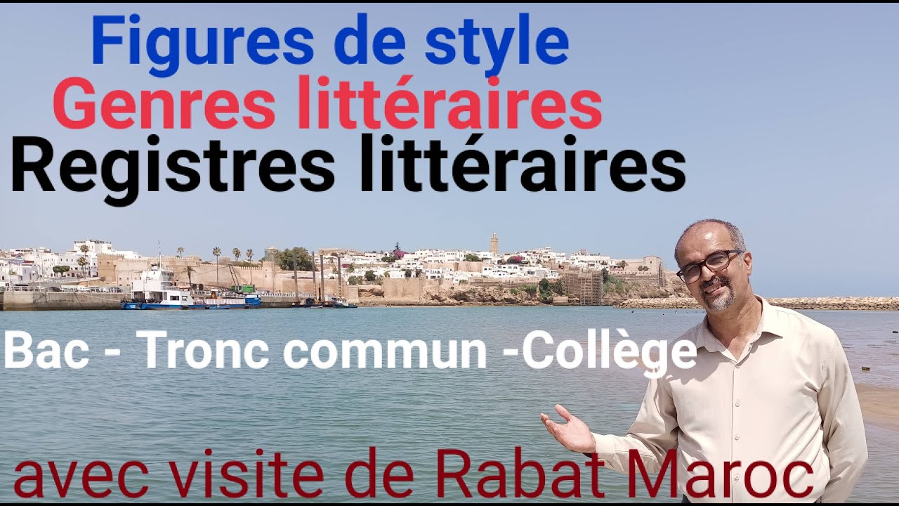 Les figures de style et les registres littéraires - figure of speech and literary registers