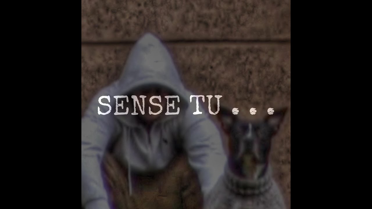 SENSE TU ... ft @CrazyElMero  (MAQO Freestyle5)