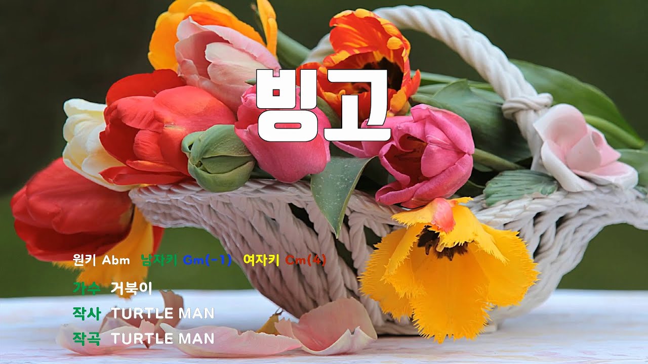 [은성반주기] 빙고 - 거북이 /MR/가사