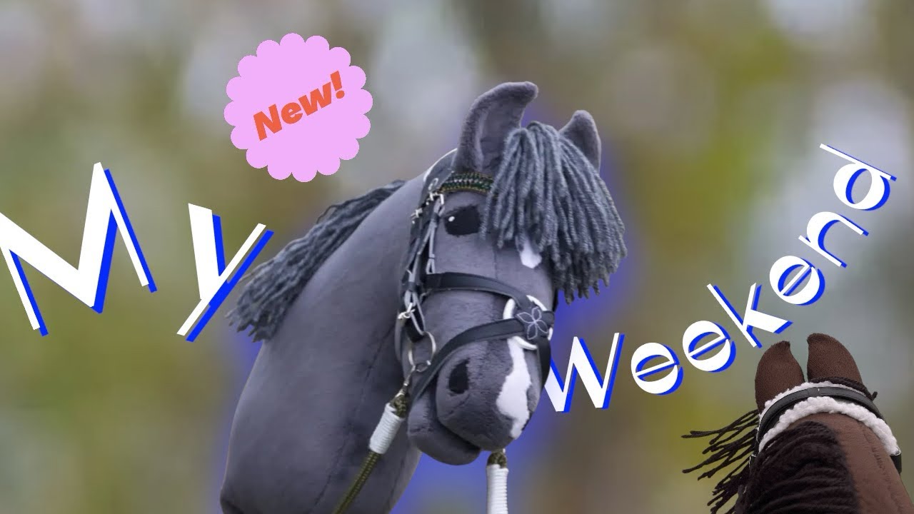 My Weekend 😍💫❤️🤩?! #hobbyhorsing #khtfrancis //khtfrancis//