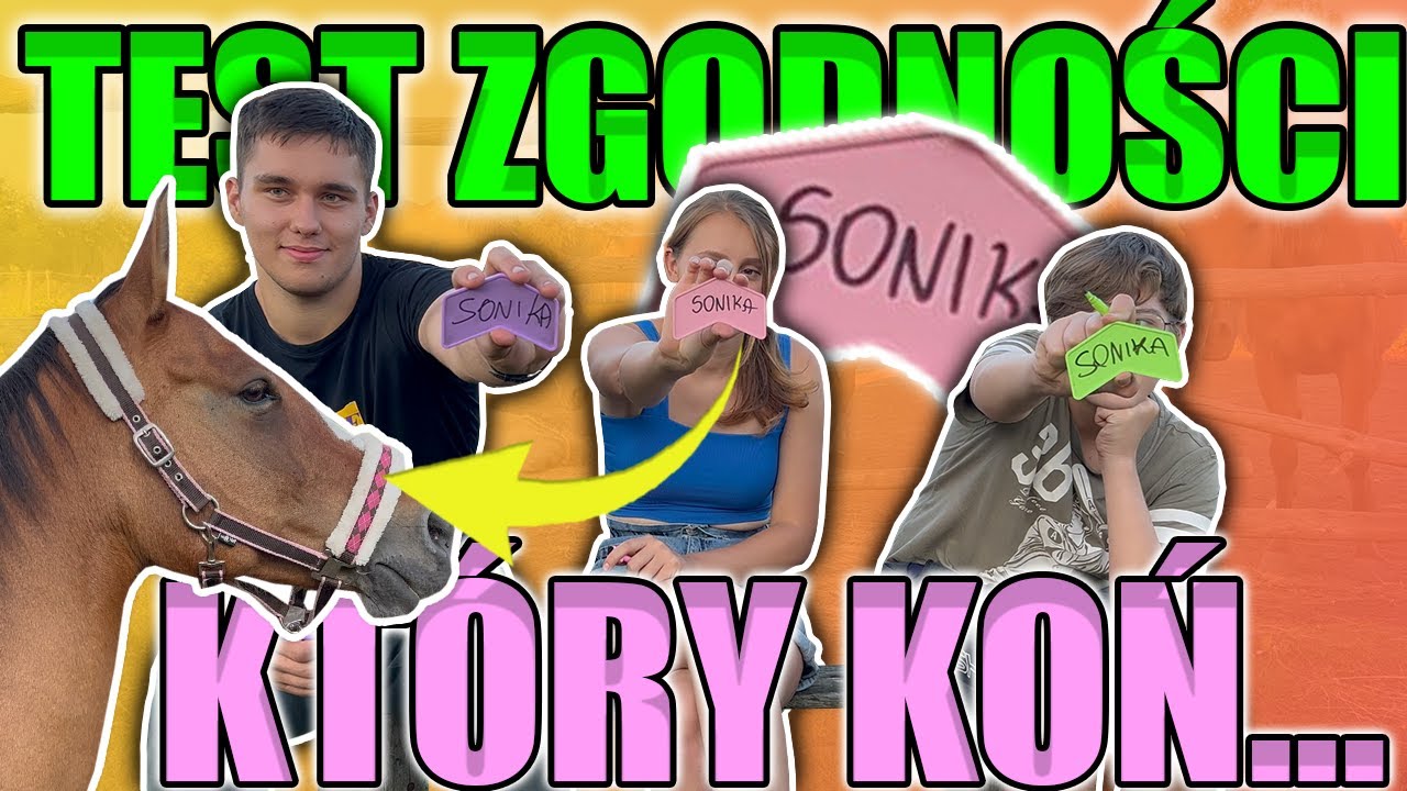 KTÓRY KOŃ NAJWIĘCEJ ROZRABIA? - TEST ZGODNOŚCI - DAILY#20