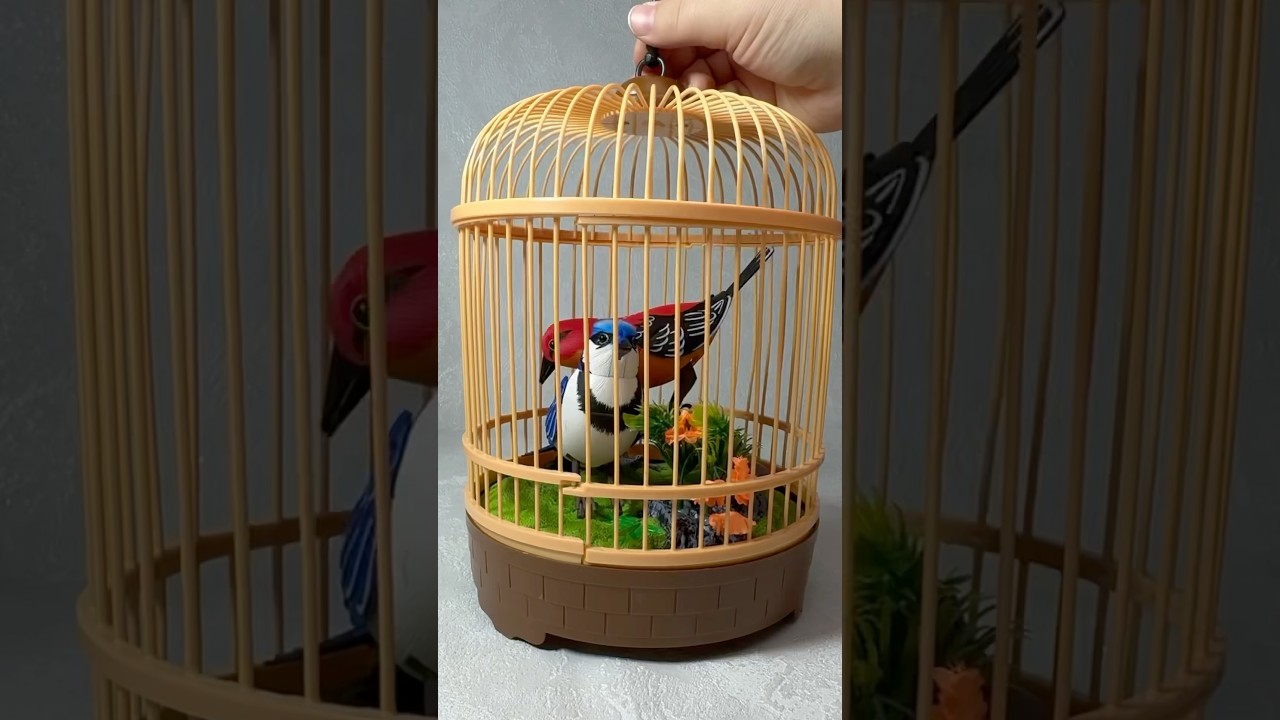 Beautiful Bird 🦜 #toys #asmr #asmrvideo #unboxing #birds