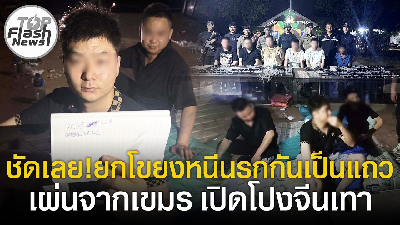 ชัดเลย ยกโขยงเผ่นเป็นแถว 