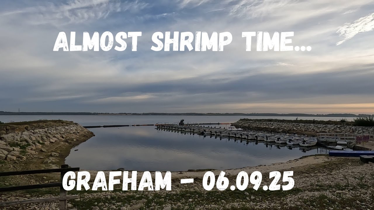 #45 Almost shrimp time // Grafham // 06Sept25 #flyfishing #catchandrelease #flyfishinguk