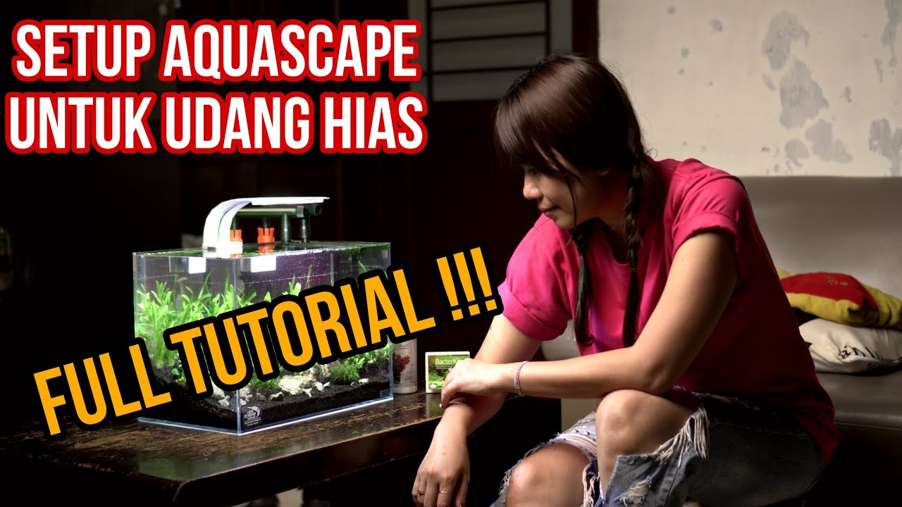 ‼️Tutorial setup tank udang hias neo caridina /Tank udang hias Aquascape 😀👍