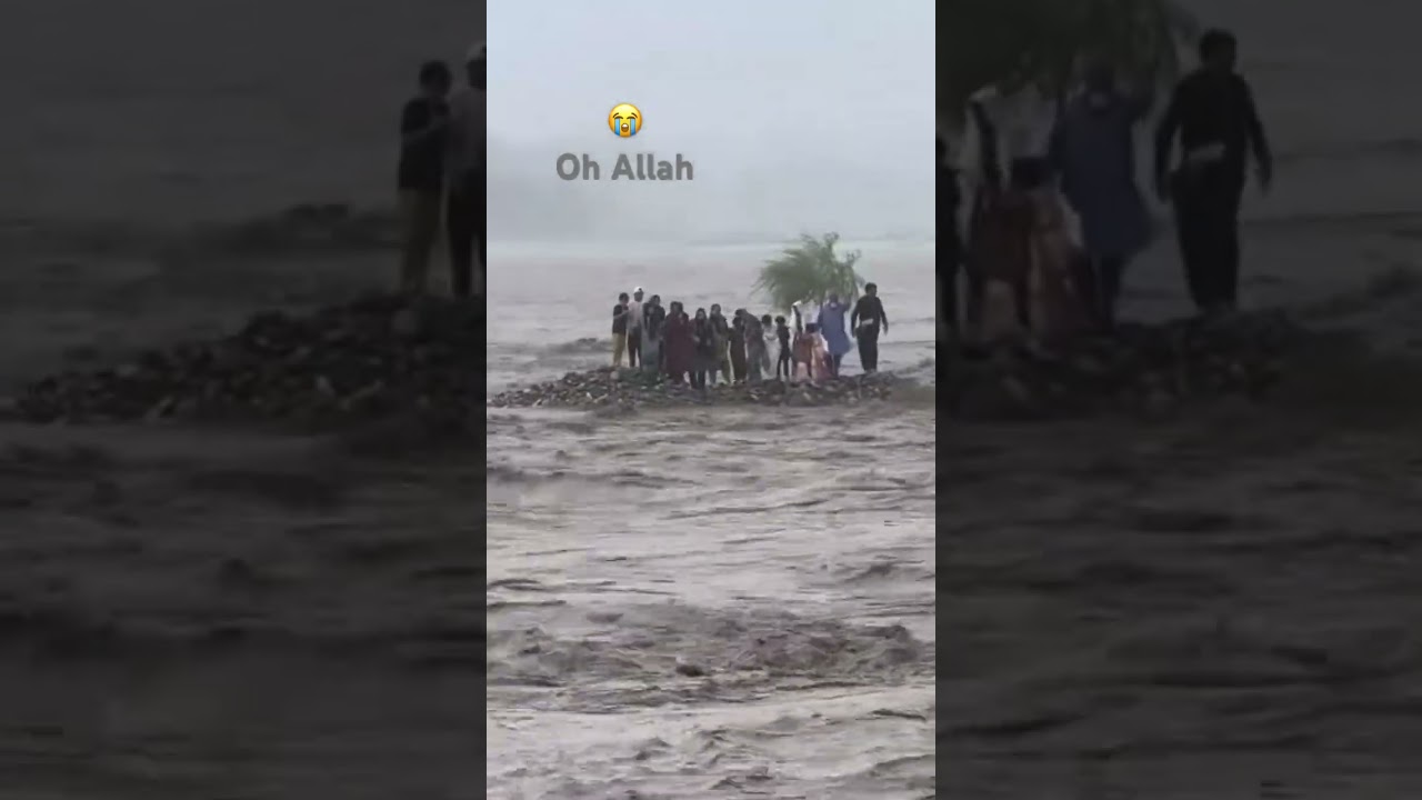 😭😭 #swat #flood #news #pakarmy #pakistan #trending #trendingshorts #shorts #disaster #arydigital