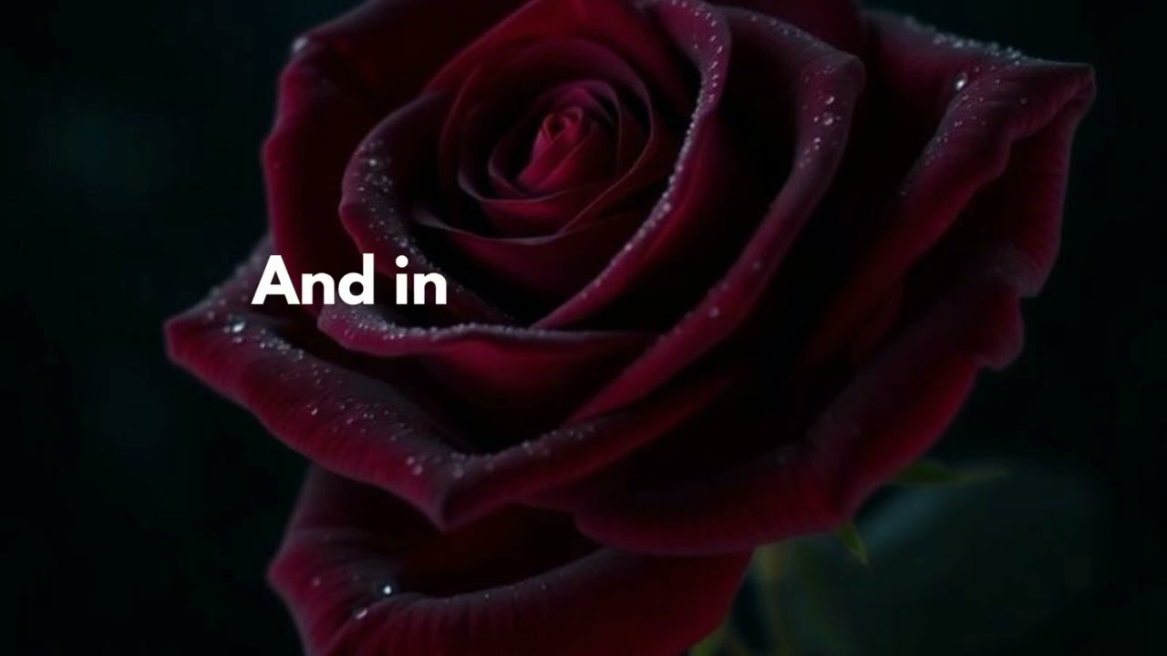 Love that matters 😘💋💞♥️❤️🌹