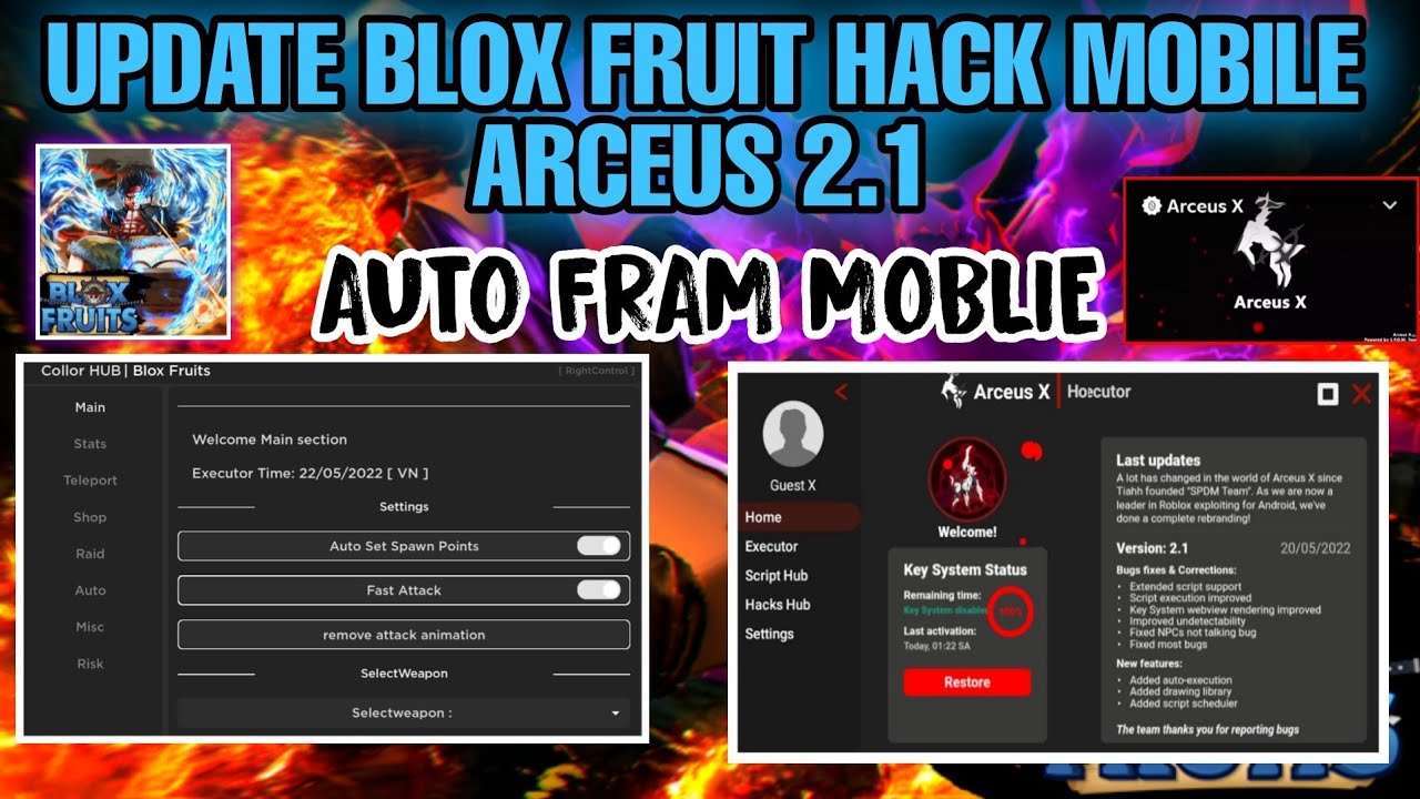 ROBLOX &hearts; ARCEUS X 2.1 UPDATE HACK BLOX FRUIT MOBILE TR&Ecirc;N ĐIỆN THOẠI AUTO FRAM SCRIPT MỚI NHẤT