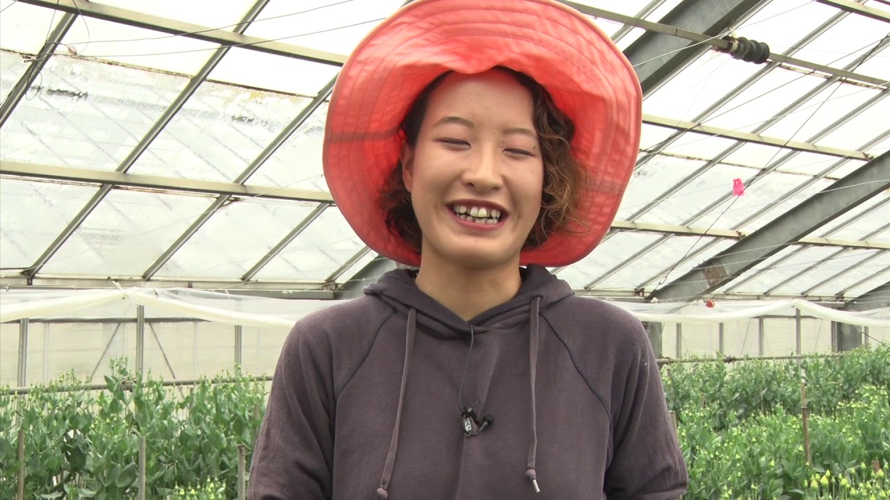 【ながの旬チャンネル】トルコギキョウ栽培　峯村 明実さん - 長野市農業公社