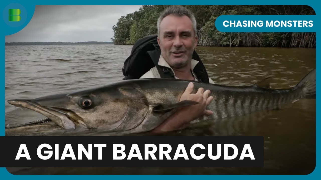 Canoe vs. Crocodiles - Chasing Monsters - S05 EP503 - Fishing Show