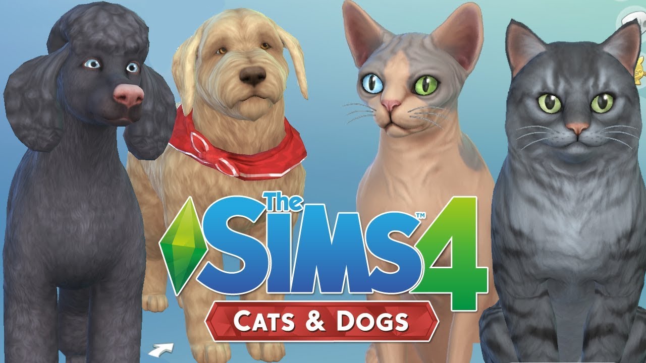 DIE SIMS 4: Hunde und Katzen • Unsere neuen Haustiere 🐶 🐱