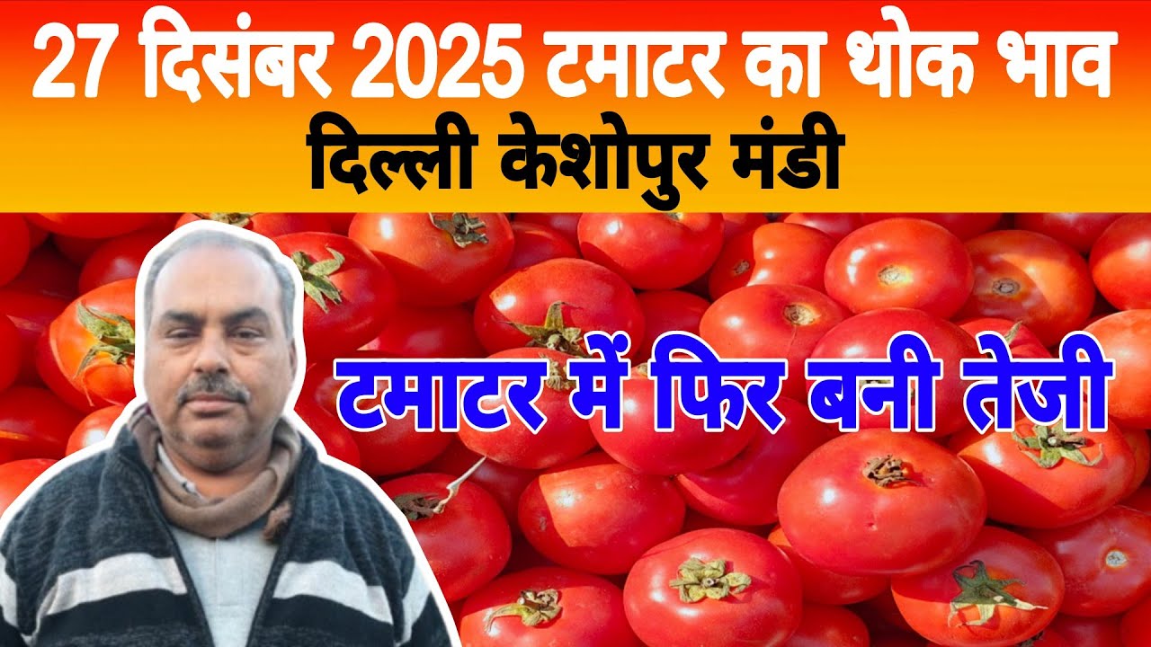 27 Dec 2025 Delhi 🍅 टमाटर होलसेल भाव | Keshopur Mandi | Today Tomato Rate #tamatar #tamatarmandi