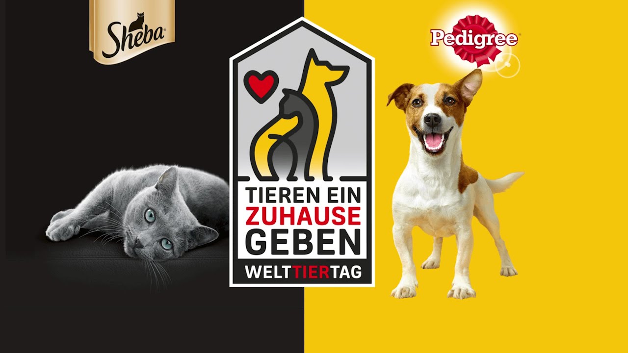 Welttiertag 2022