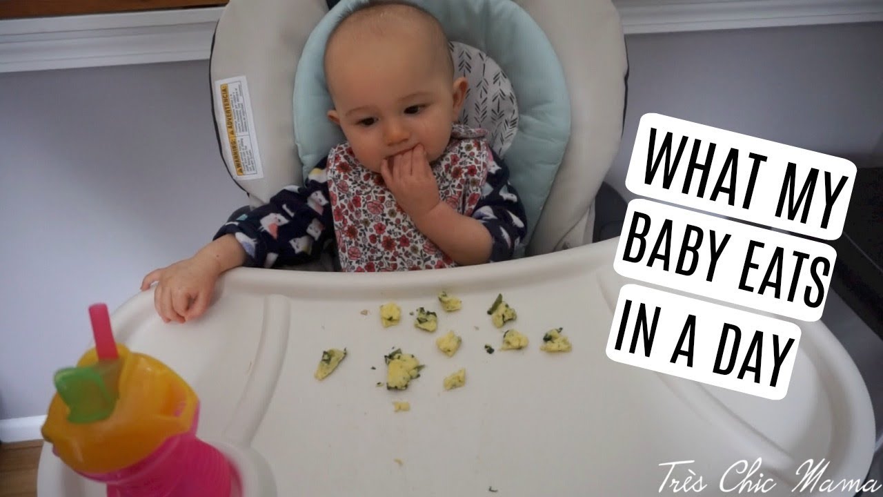 WHAT MY 12 MONTH OLD EATS IN A DAY| Tres Chic Mama