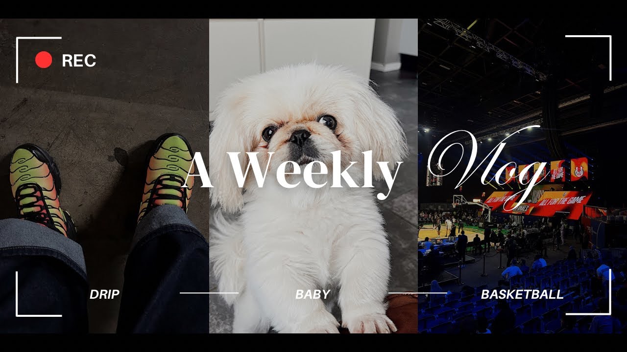 WEEKLY VLOG: Basketball match, multiple SHEIN hauls, Winter essentials, SA Lesbian couple, LGBTQI