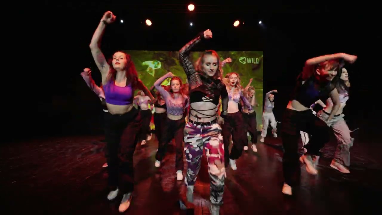 COMMERCIAL | FINAL SHOW 2024 - WILD DANCE ACADEMY