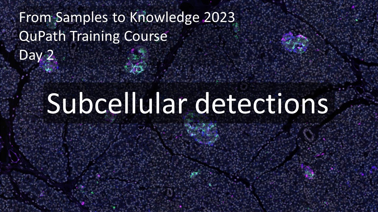 Subcellular detections
