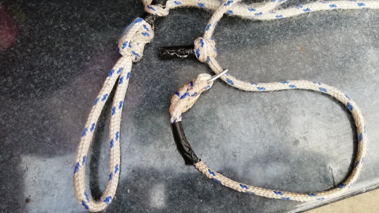How to make a slip training dog leash