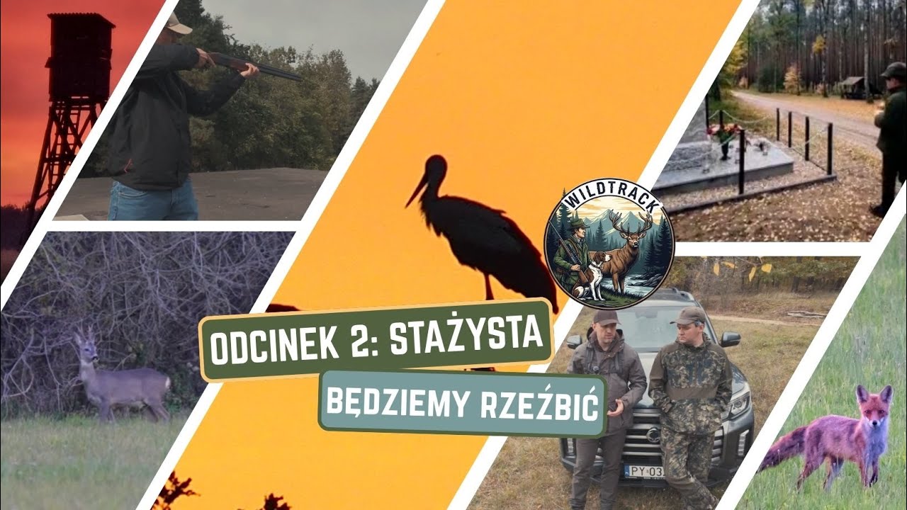 STAŻYSTA - BĘDZIEMY RZEŹBIĆ  || The Intern - Keep pushing forward