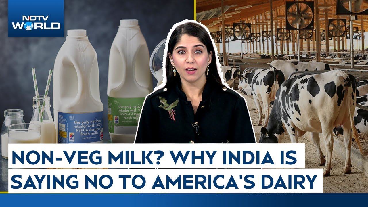 India US Trade Deal | 'Non-Veg' Milk? The Shocking Reason India Won’t Let US Dairy In