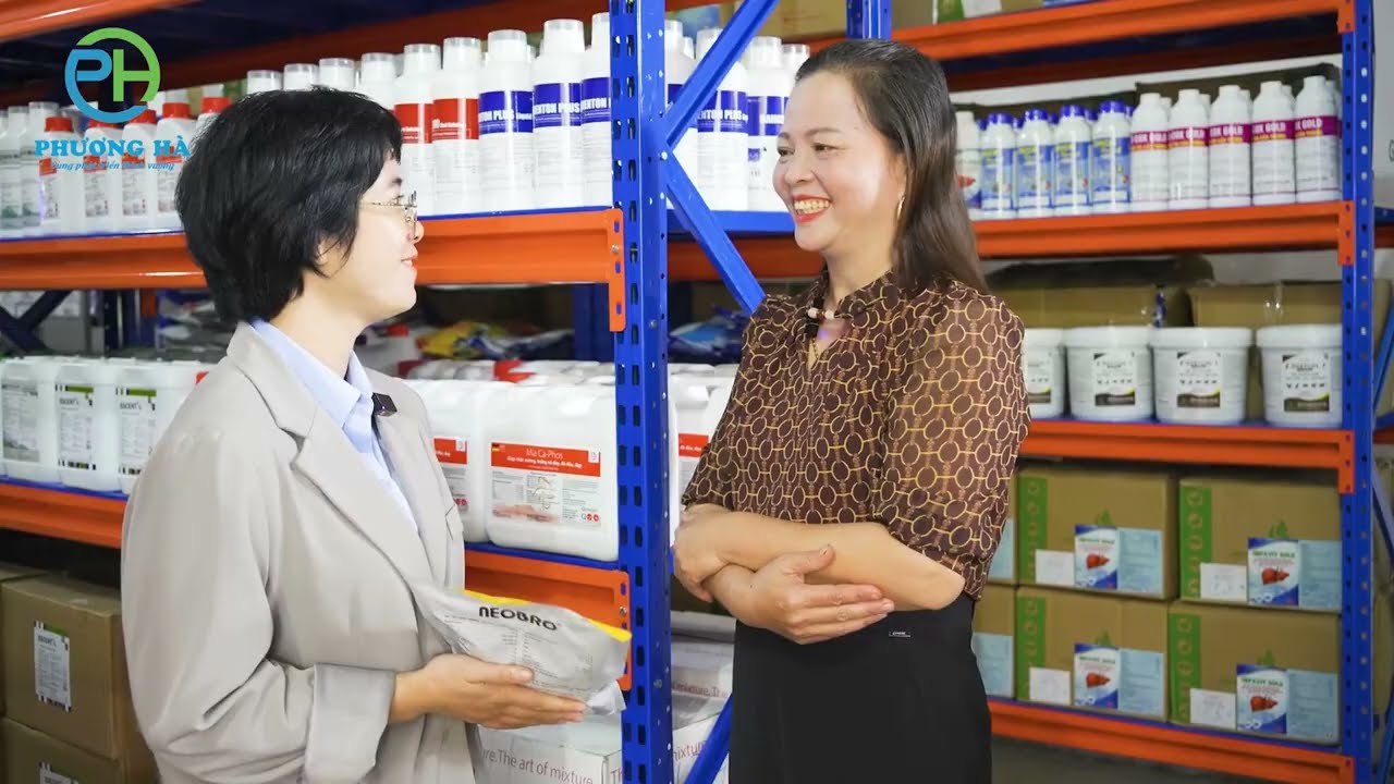 Chia sẻ bí quyết để có đàn gà đẹp mã, đạt cân