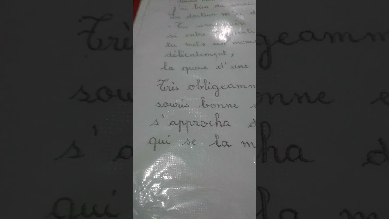 POÉSIE :LE CHAT BLANC #français @proffarid