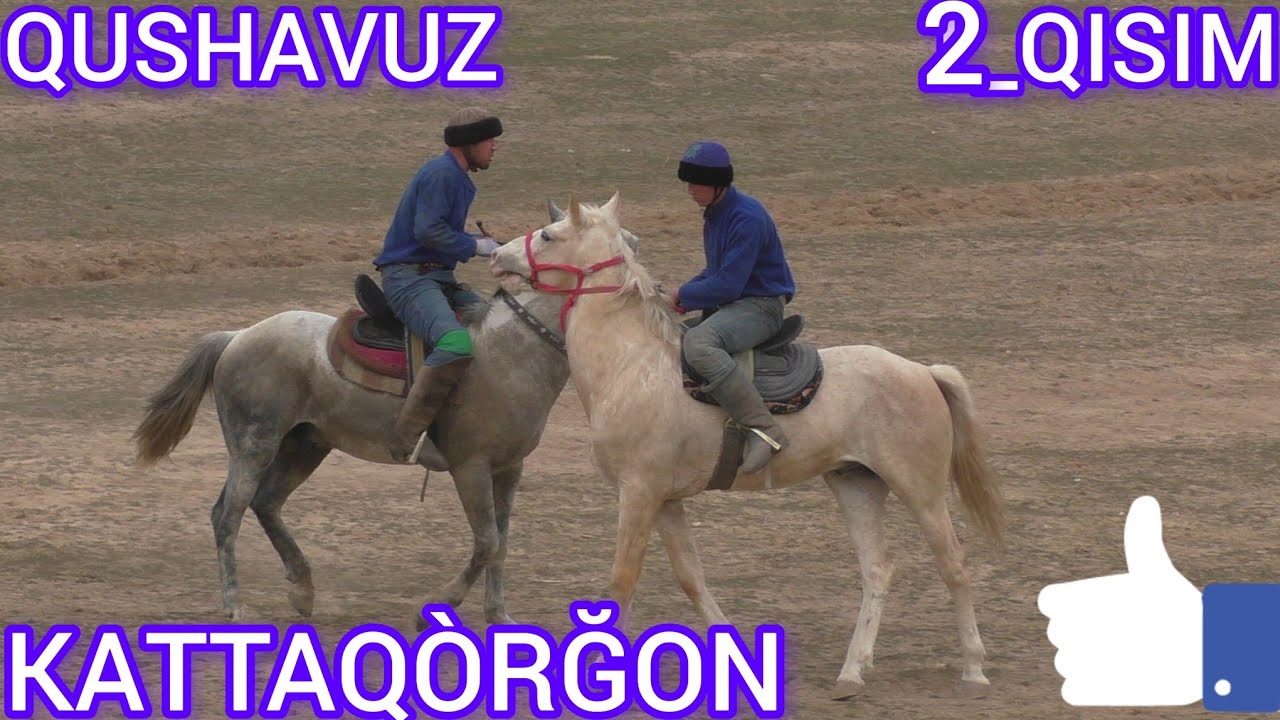KATTAQÒRĞON QUSHAVUZ KÒPKARISI 2_QISIM 4 01 24 YIL