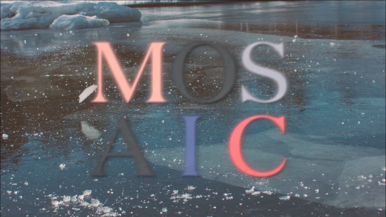 MOSAIC snowboarding video